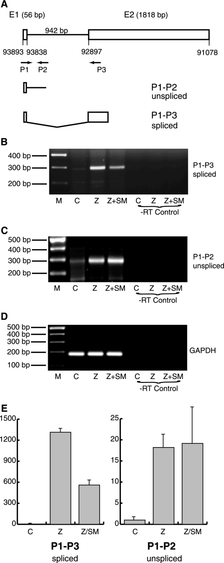 FIG. 6.