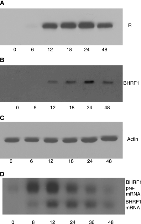 FIG. 9.