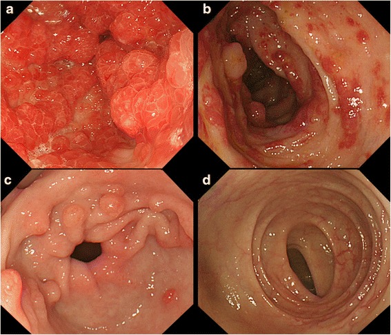 Fig. 2