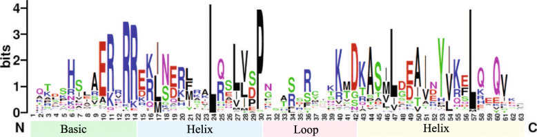 Fig. 3