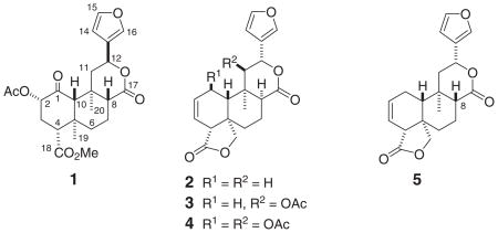 graphic file with name nihms262575u1.jpg