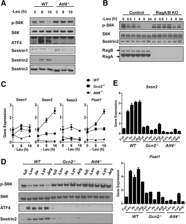 Figure 2.