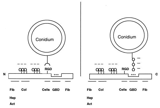 FIG. 7