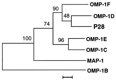 FIG. 8