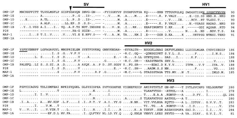 FIG. 7