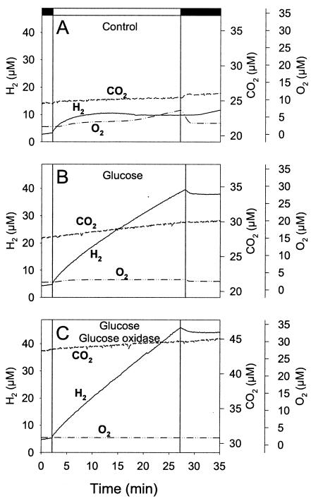 FIG. 7.