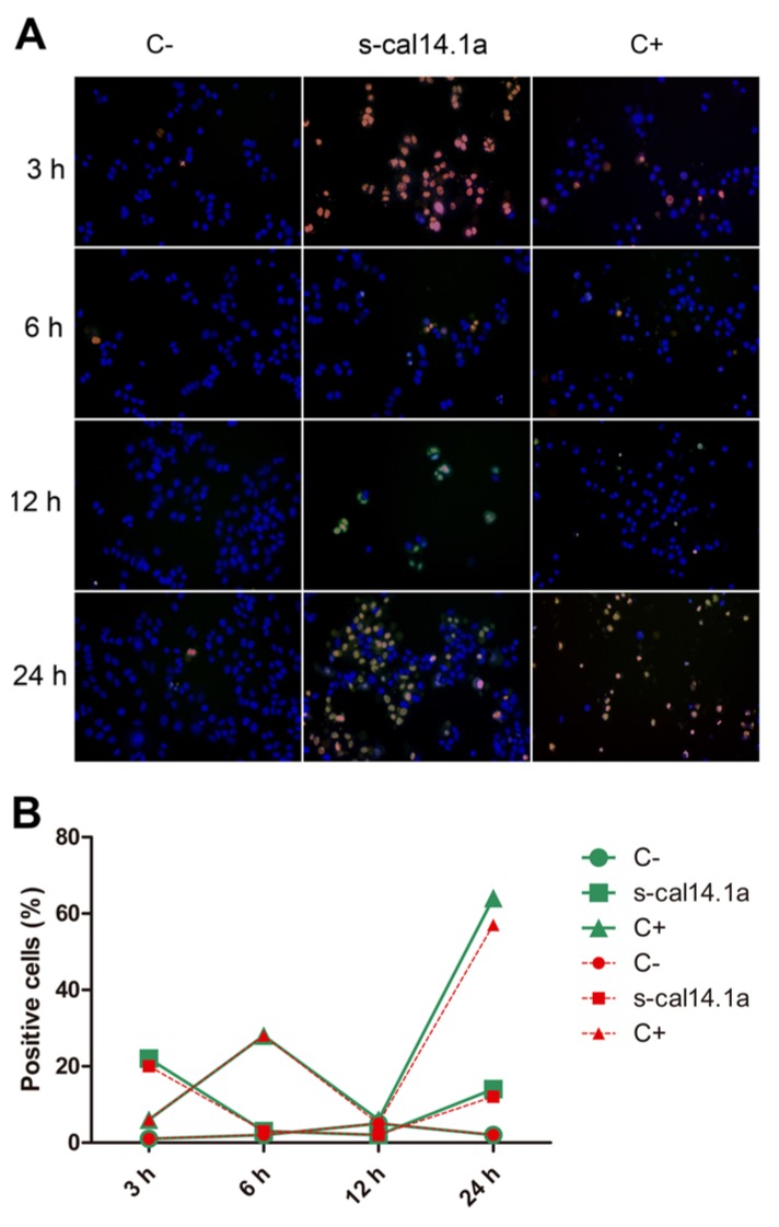 Figure 4