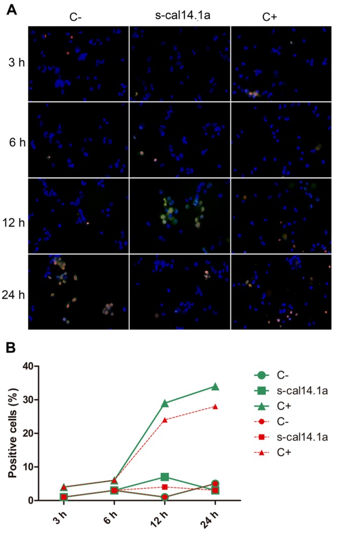 Figure 6