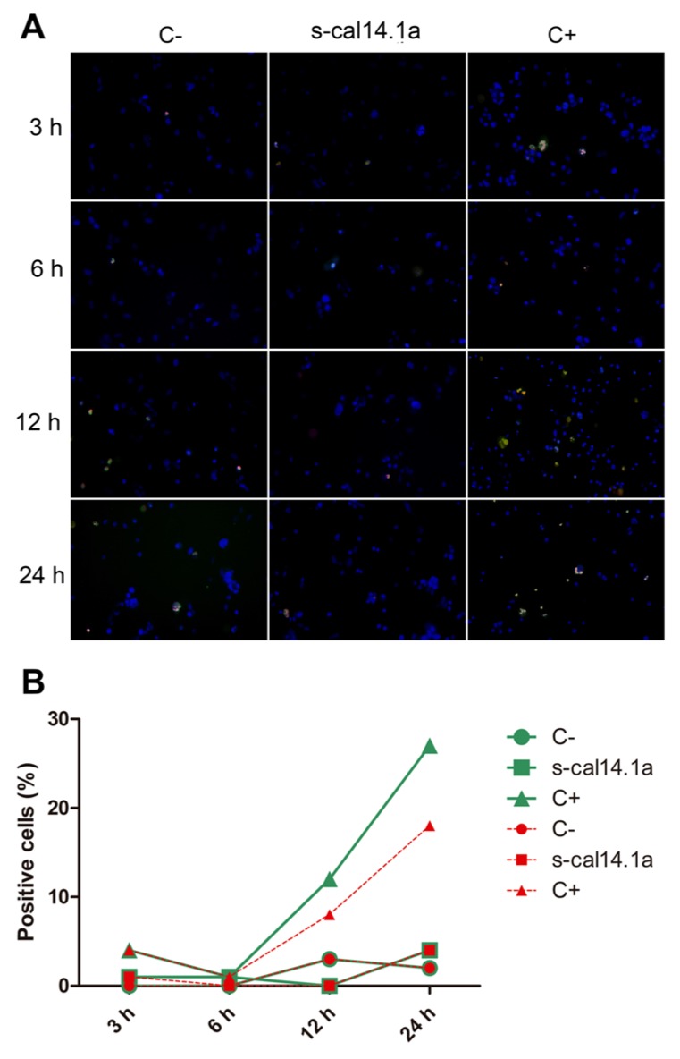 Figure 5