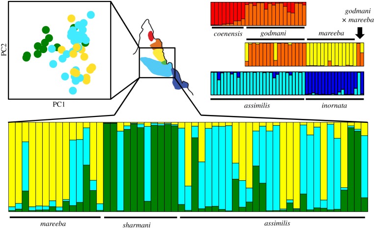 Figure 2.