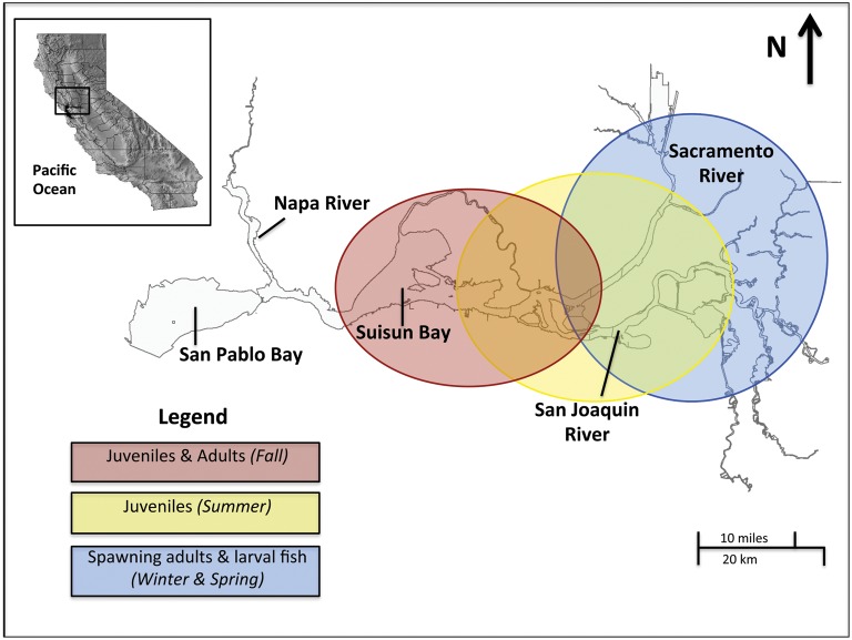 Figure 1: