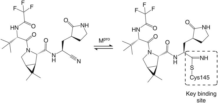 Fig. 1