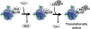 Figure 10.