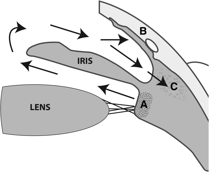 FIG. 1.