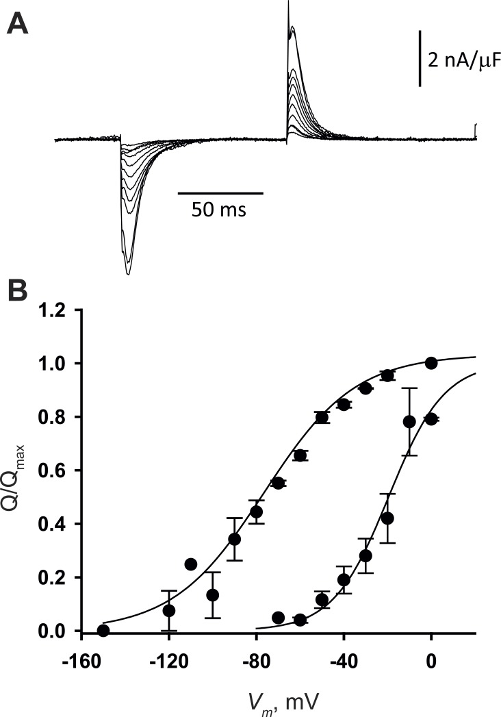 Figure 7.