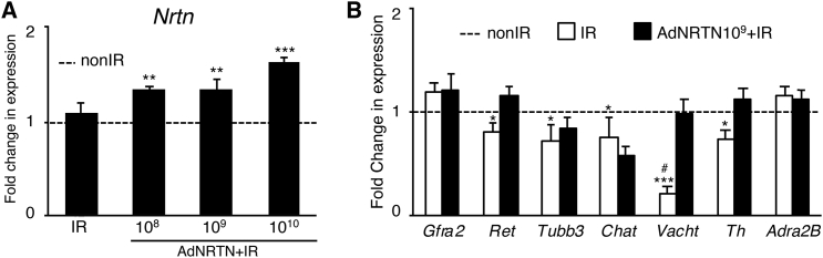 Figure 5