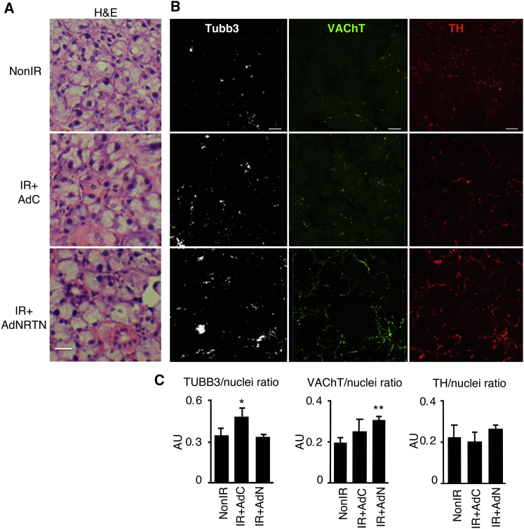 Figure 6