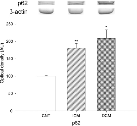 Figure 5