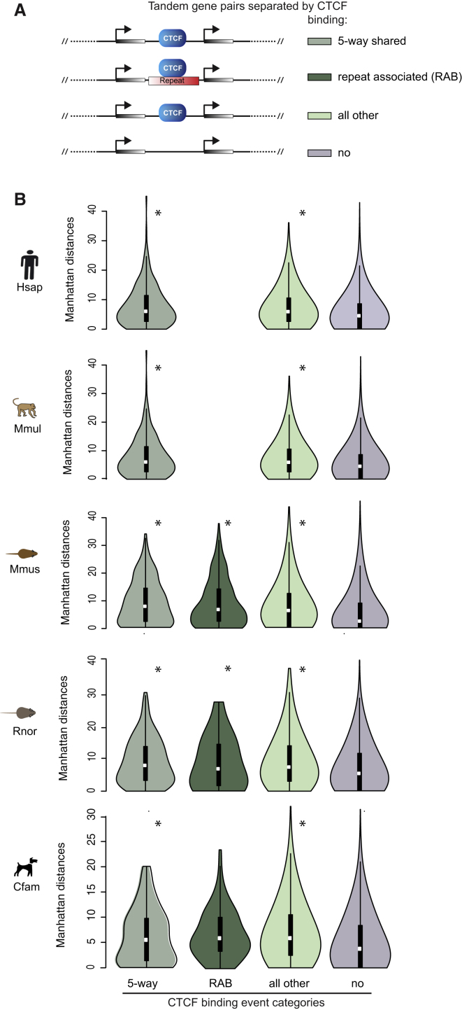 Figure 7