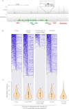 Figure 6