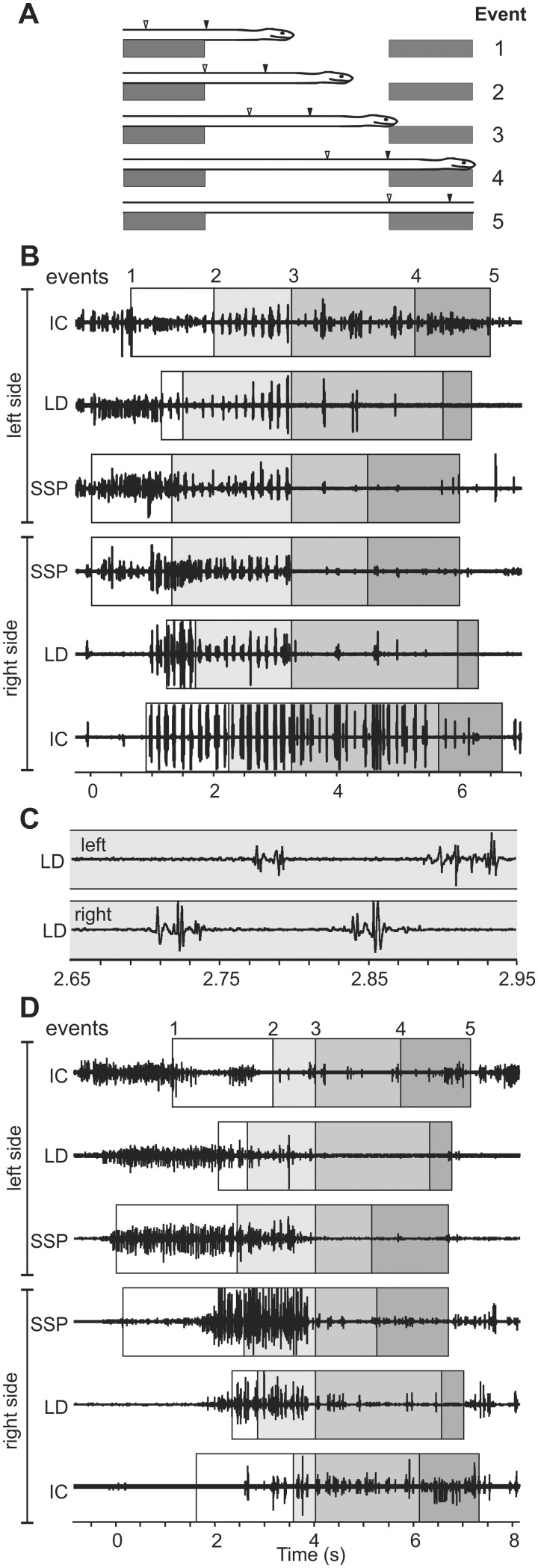 Fig. 9