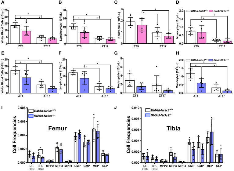 Figure 5