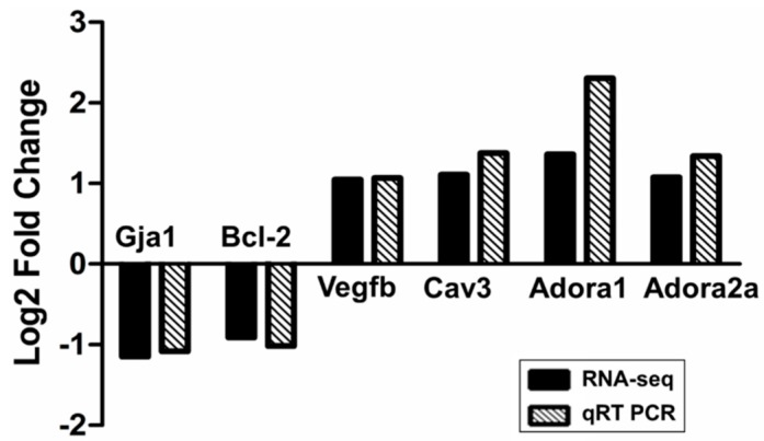 Figure 5