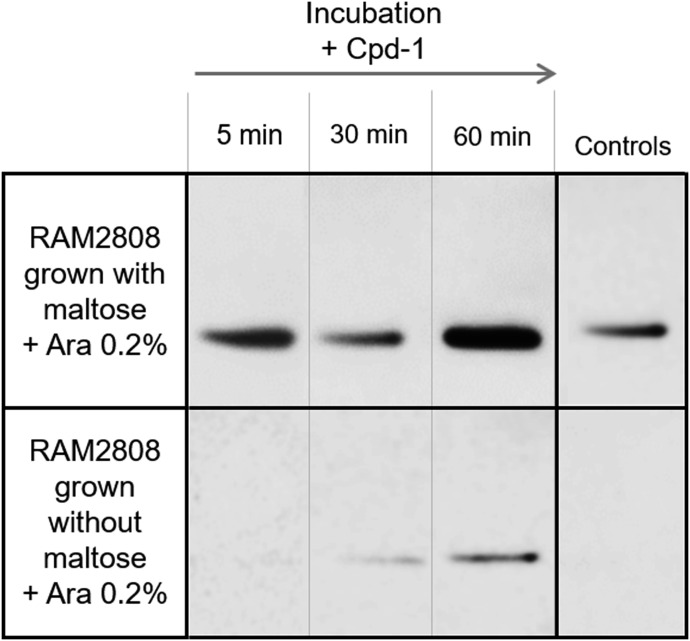 Figure 7.