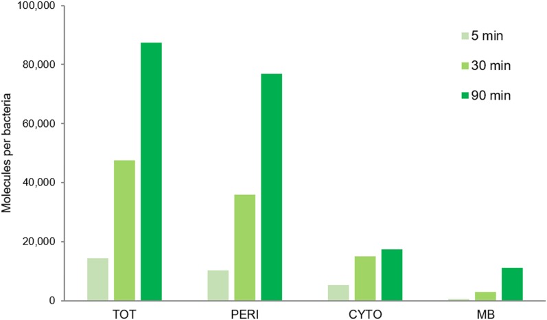 Figure 5.