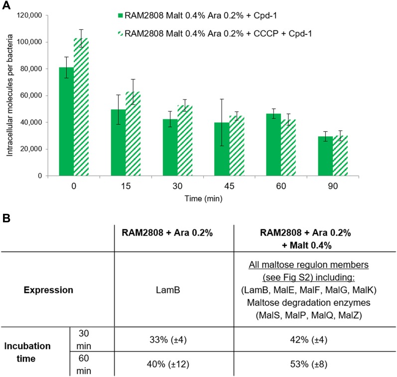 Figure 6.