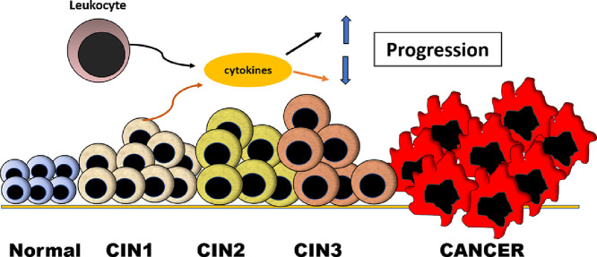 Image, graphical abstract