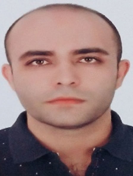 graphic file with name 10115_2021_1602_Figd_HTML.jpg