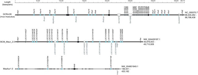 Figure 3: