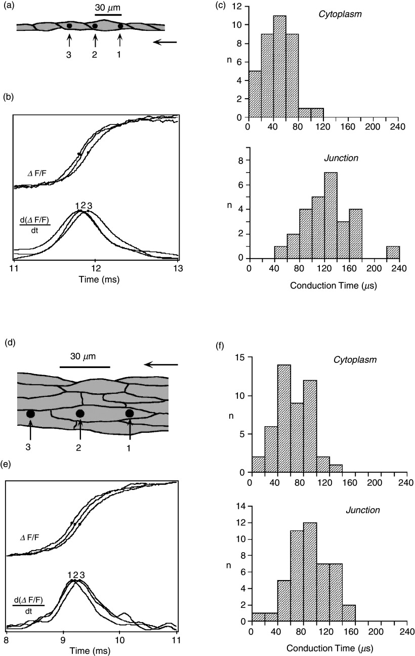 FIG. 9.