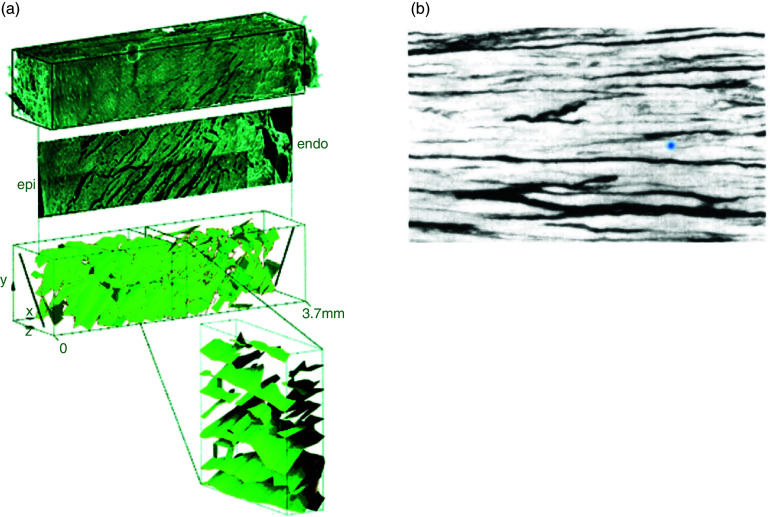 FIG. 12.