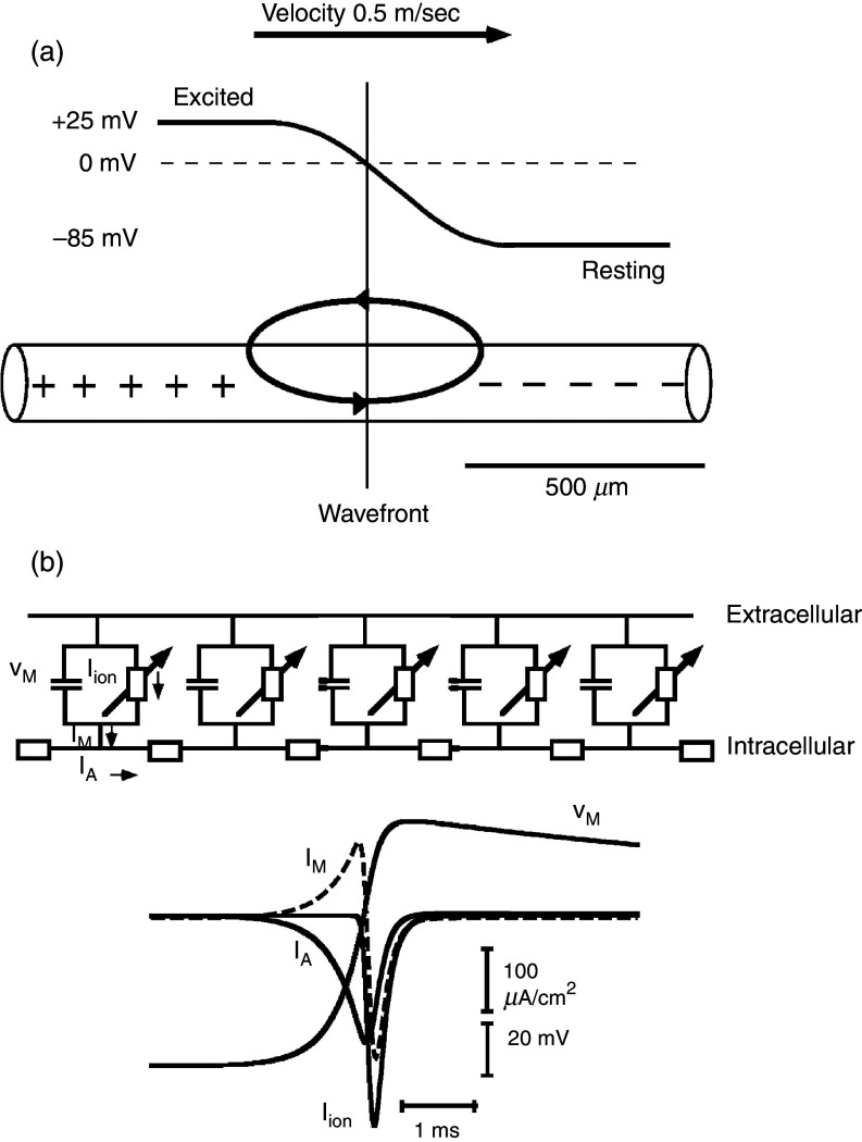 FIG. 8.