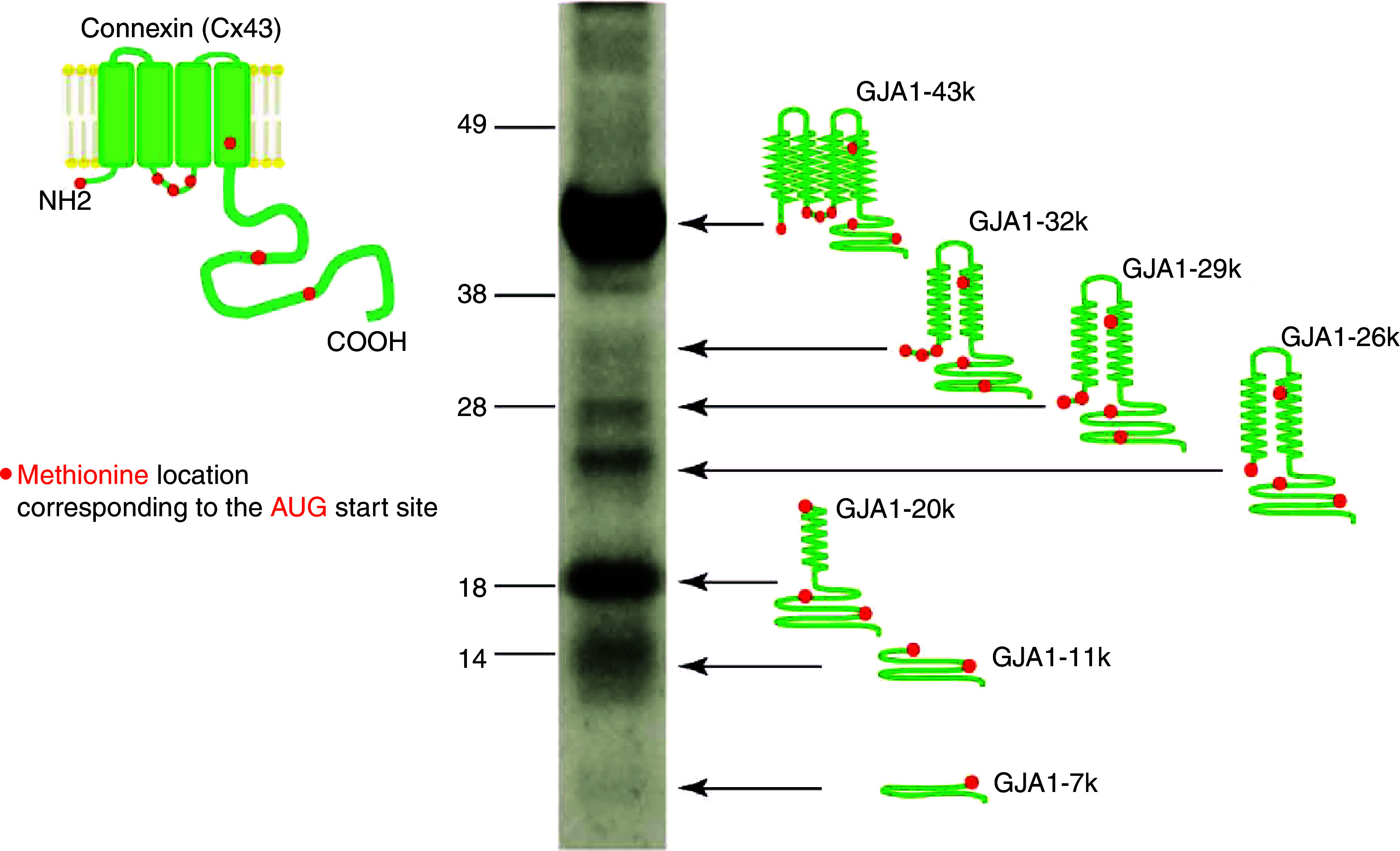 FIG. 7.