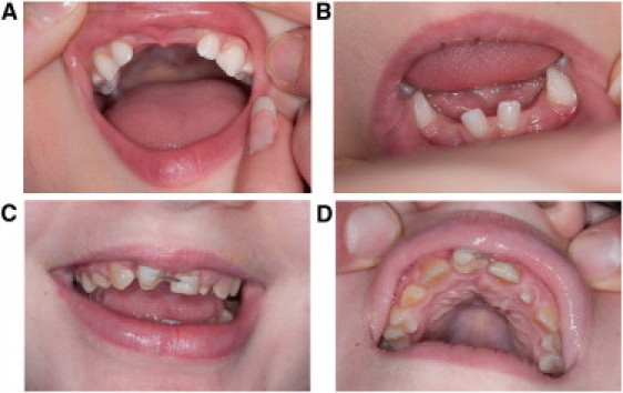 Figure 2