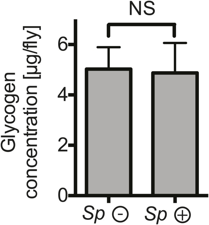 Figure 5—figure supplement 2.