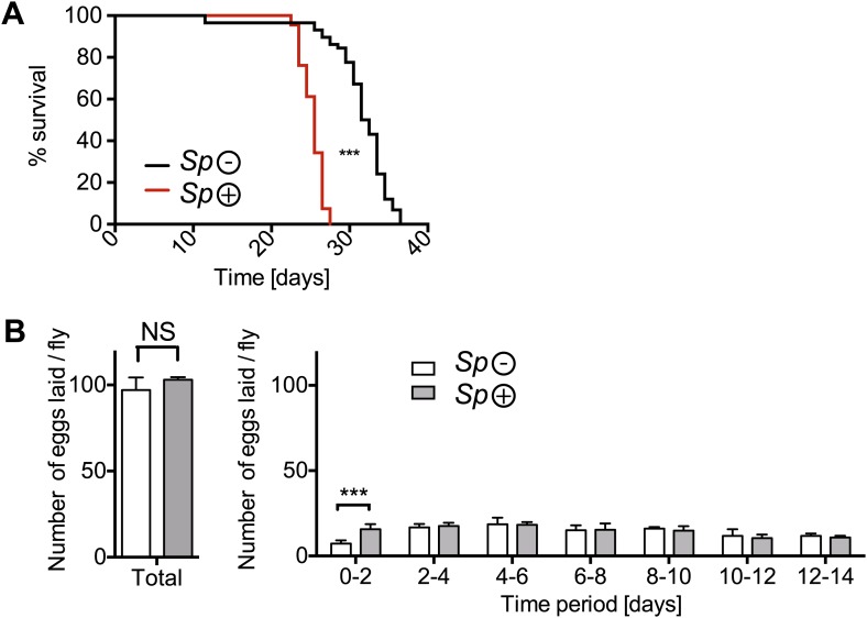 Figure 1—figure supplement 1.