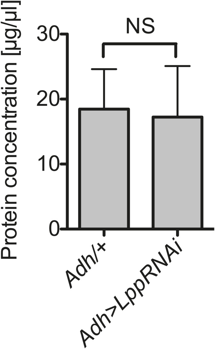 Figure 8—figure supplement 1.