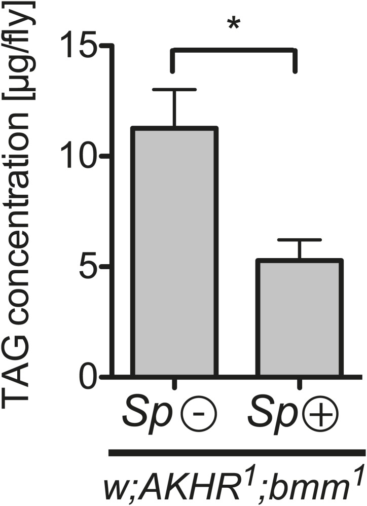 Figure 7.