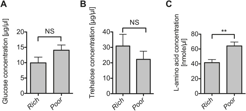 Figure 3—figure supplement 1.