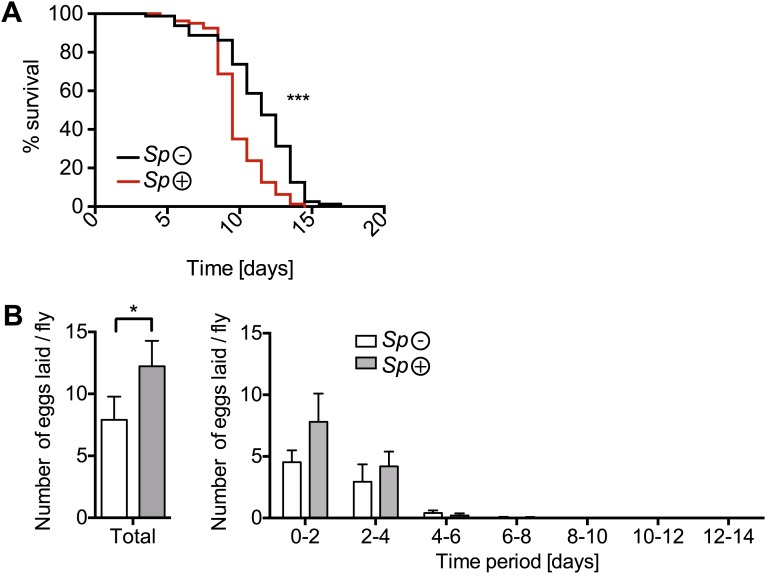 Figure 2—figure supplement 1.