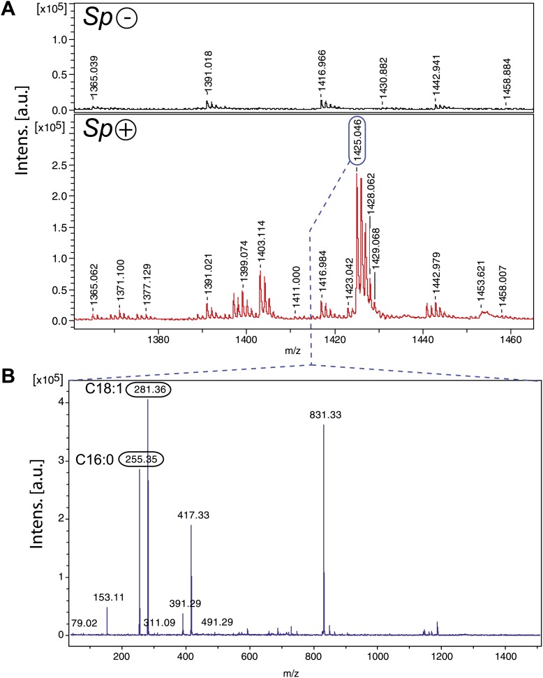 Figure 6.