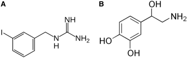 FIGURE 1.