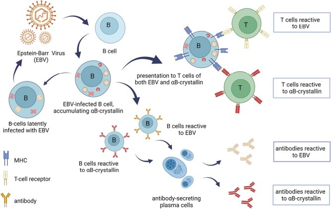 Graphical Abstract