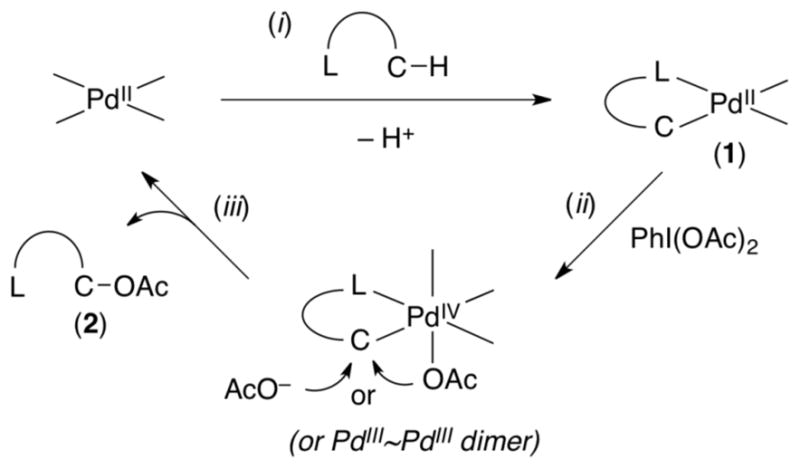 Scheme 3