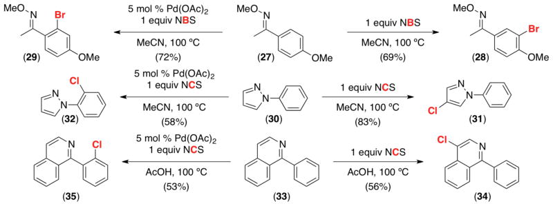 Scheme 11