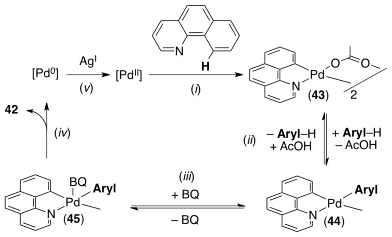 Scheme 16